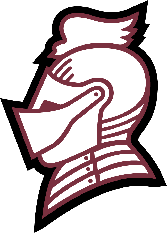 Bellarmine Knights 2010-Pres Secondary Logo v2 iron on transfers for clothing